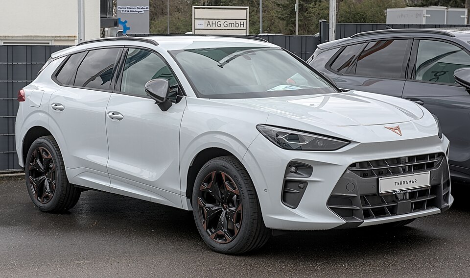 KIT DE AIRBAGS CUPRA TERRAMAR (2024-2026) - Imagen 3